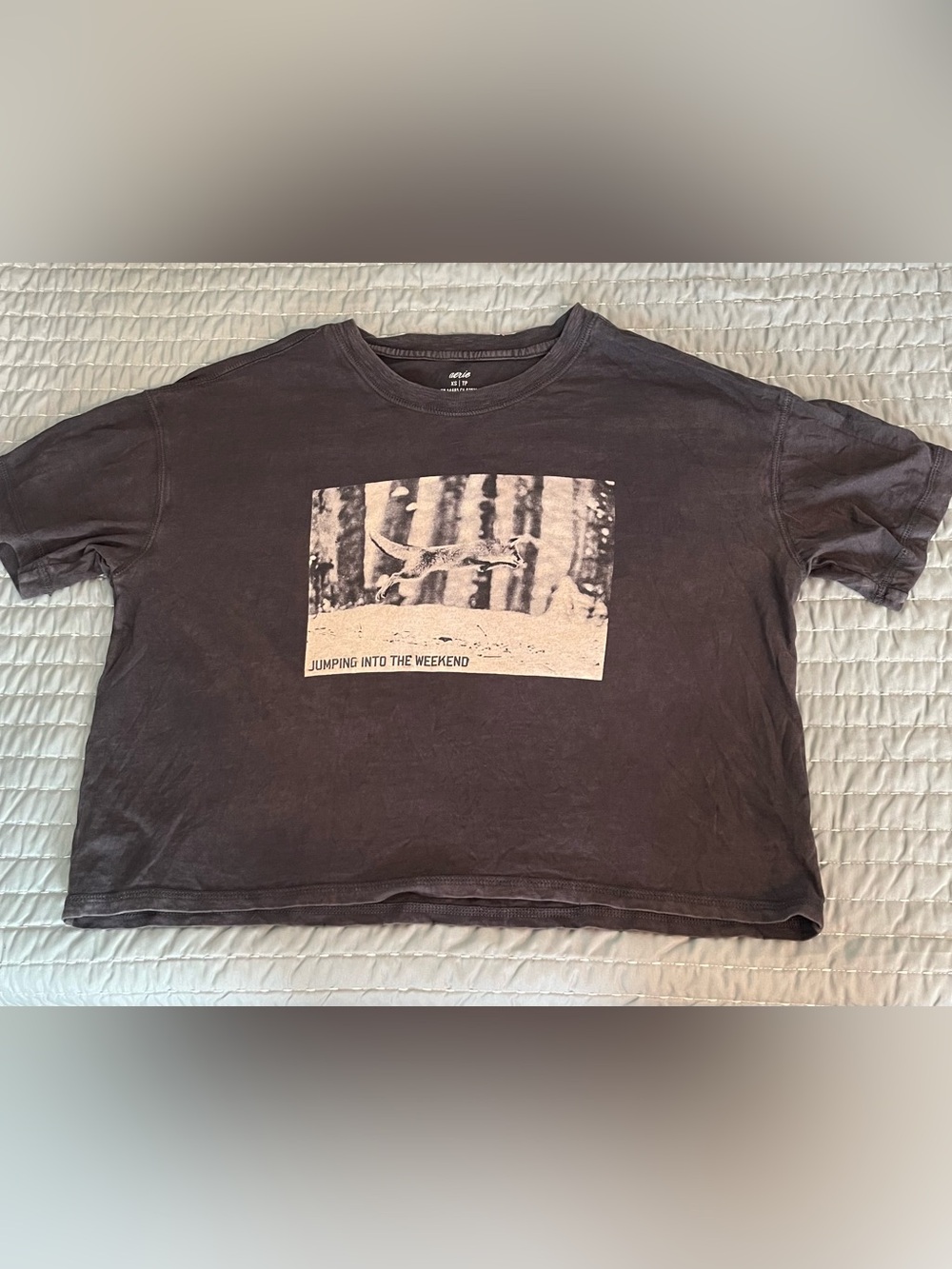 Aerie Boxy Cropped Tee